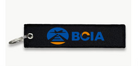 Thumbnail for BCIA  AIRPORT KEY CHAIN
